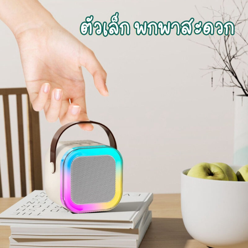 K12 ไมโครโฟนคู่ แบบพกพา